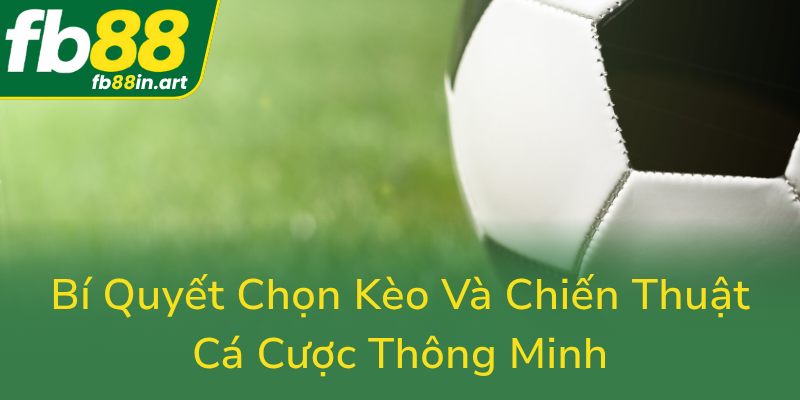 Bi Quyet Chon Keo Va Chien Thuat Ca Cuoc Thong Minh0