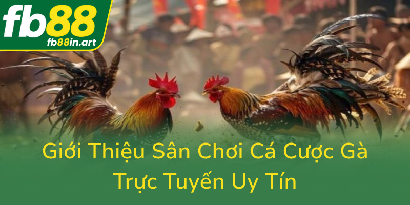 Gioi Thieu San Choi Ca Cuoc Ga Truc Tuyen Uy Tin0