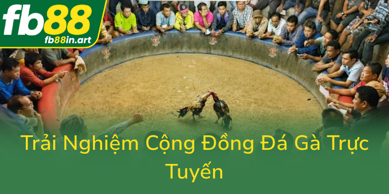 Trai Nghiem Cong Dong Da Ga Truc Tuyen0